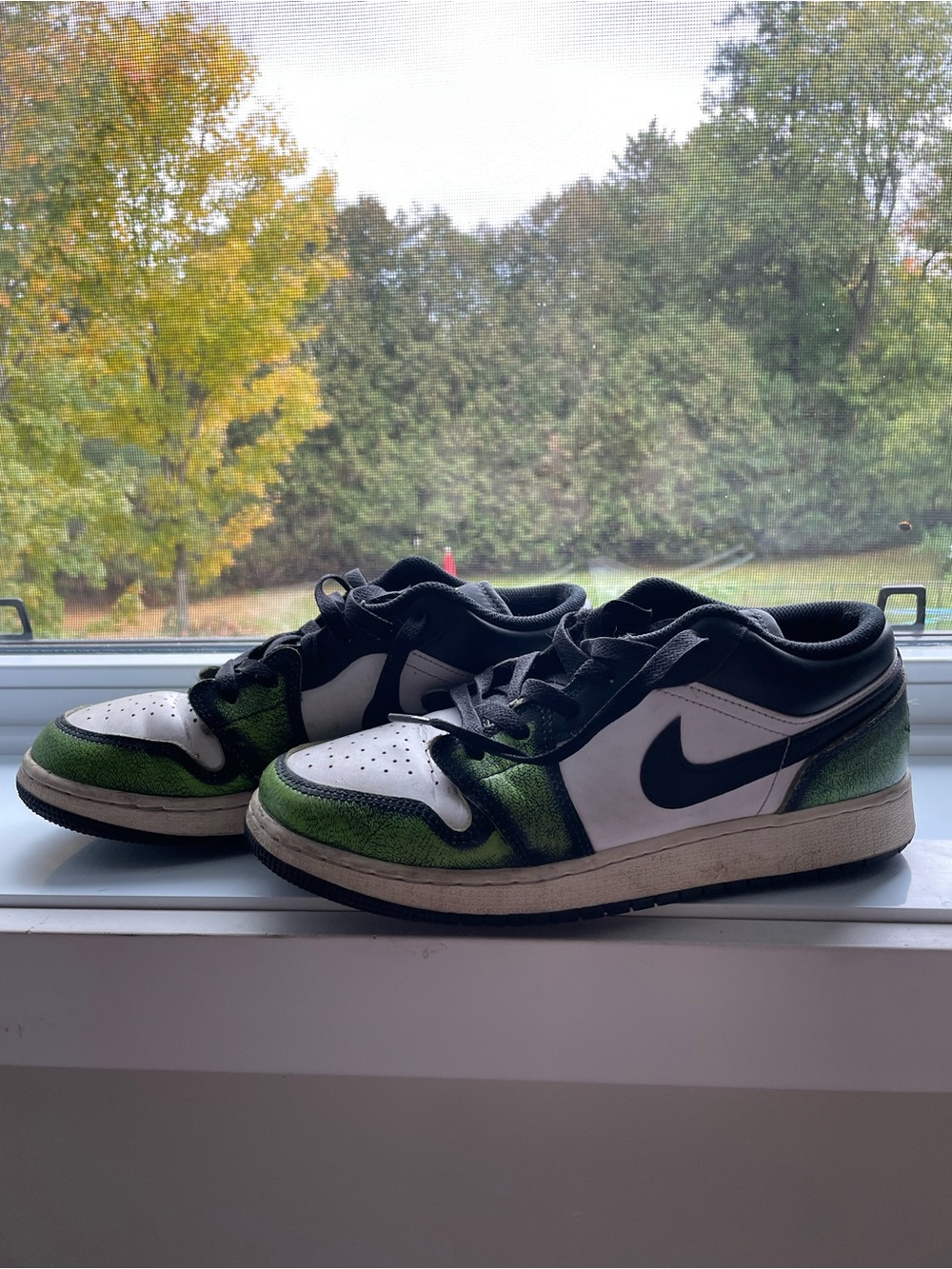 Nike Men’s Low-Top Sneakers in White, Black & Green Metallic